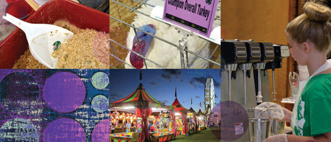Collage of images from a county fair: prize winning turkey, scoop in animal feed, girl filling a fountain drink, carousel