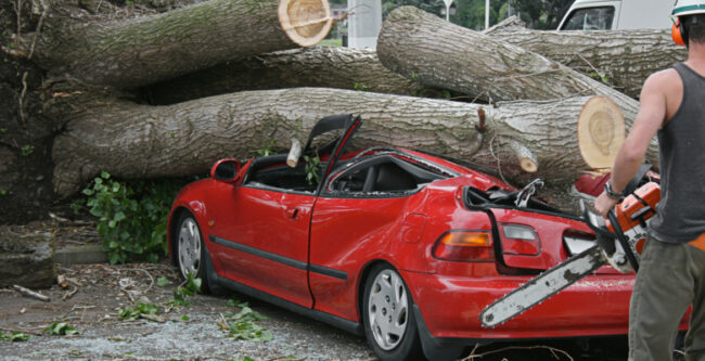 Hold Harmless, Indemnification Agreements: Critical to All Vendor Contracts Car smashed by tree trunks that were cut down by man standing nearby holding a chain saw