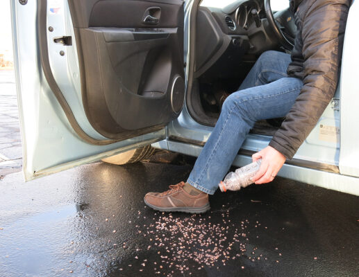Man sprinkles chicken grit on ground before stepping out of parked passenger vehicle in parking lot with ice