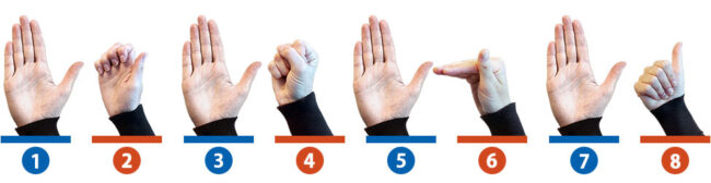 Pictures of 8 hands demonstrating tendon exercises: #1. Hand open flat with fingers straight #2. Thumb up and other four fingers bent to palm. #3. Hand open flat with fingers straight #4. Fingers bent in fist with thumb bent over top #5. Hand open flat with fingers straight #6. Fingers bent at a right angle with palm, thumb straight up. #7. Hand open flat with fingers straight #8. Fingers bent to bottom of palm with thumb in the straight position.