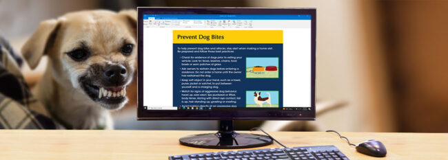 Prevent Dog Bites email open on desktop computer. Snarling little dog in background.