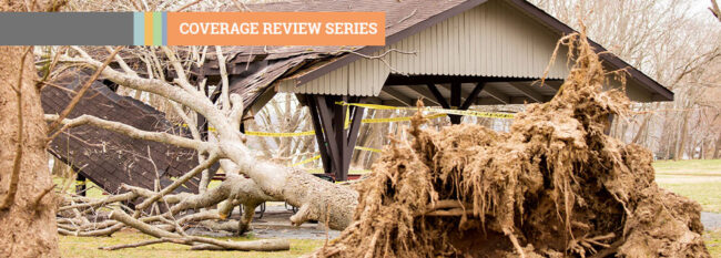 Coverage Review Series - Tree has fallen on a park picnic table after storm.