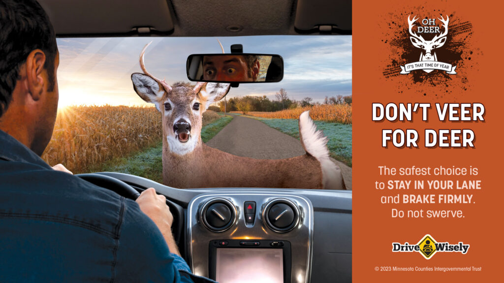 Looking over driver's shoulder out windshield to a deer in the middle of the road at dusk. Text: Don't Veer for Deer