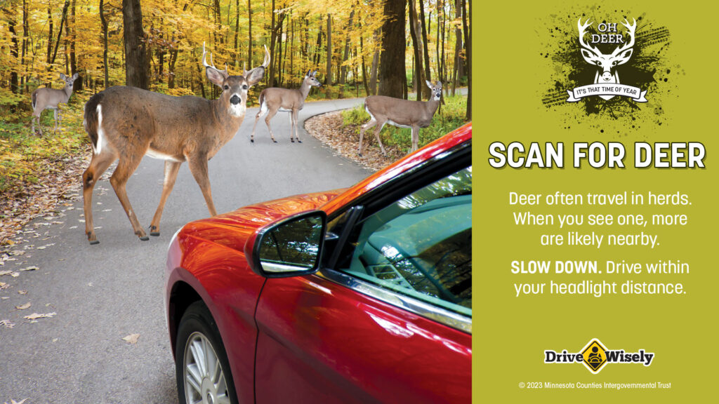 Several deer appear on the road and along side as car drives down the road. Text: Scan for Deer