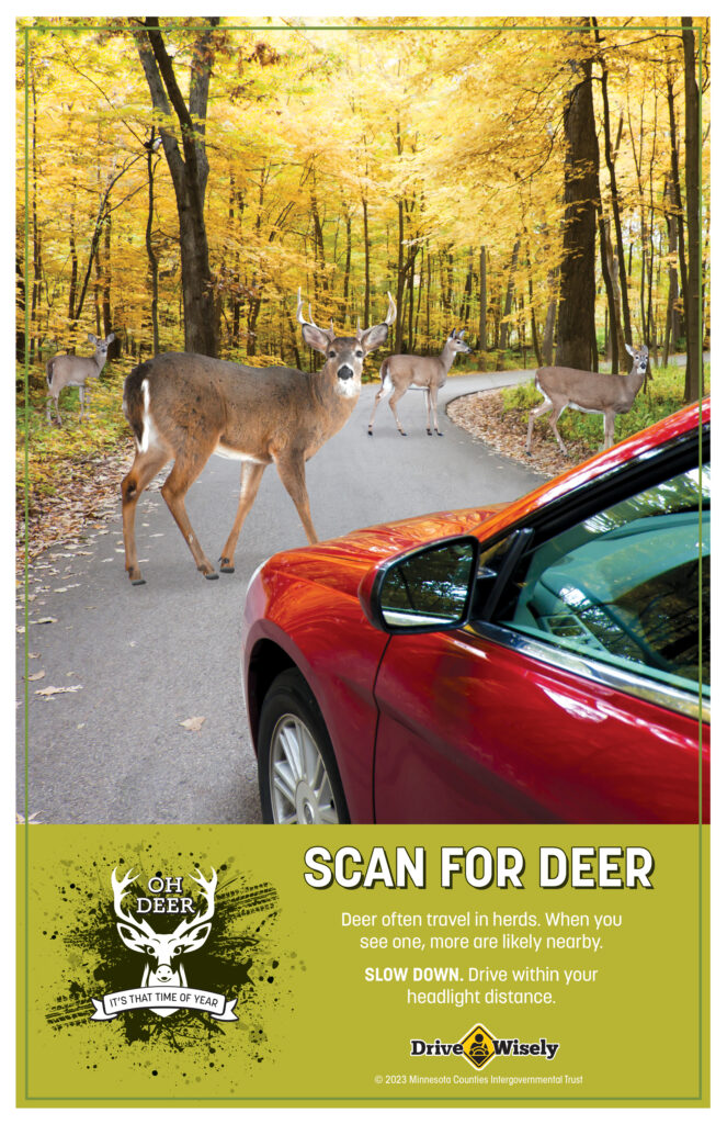 Several deer appear on the road and along side as car drives down the road. Text: Scan for Deer