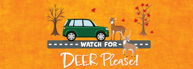 Watch for Deer, Please Illustration of two deer on road in front of green car. Text: Fall breeze, autumn leaves. Watch for deer please