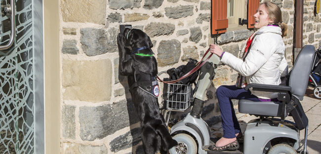 Woman in electric scooter uses a trained service dog to open a door